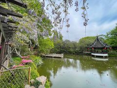 -上海醉白池公园