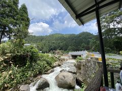 -大围山国家森林公园