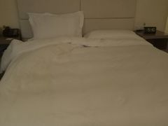 -深圳东部华侨城茵特拉根酒店