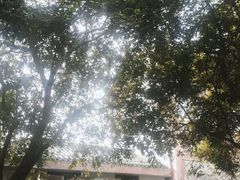 -南关石牌坊古镇
