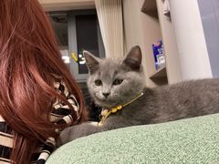 -瑞鹏宠物医院·超声·骨科·奇麟分院(蜀都万达店)