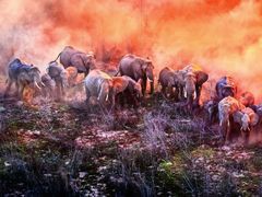 -罗红摄影艺术馆