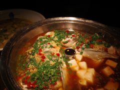 招牌汽锅鱼头-铂米星座(瑞安店)