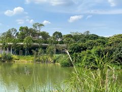 -香山湖公园