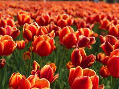 景点-静安雕塑公园