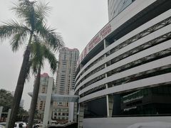 -深圳特区报业大厦
