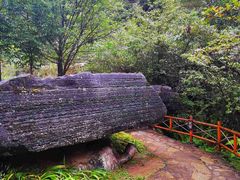 -梭布垭石林景区