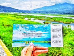-腾冲北海湿地