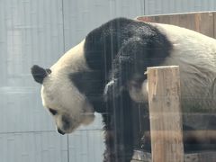-无锡动物园·太湖欢乐园