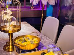 -Darling Queen·Mini·Live·House