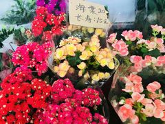 -秦美花卉(天朗·莱茵小城2期店)