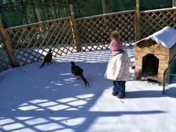 -萌宠亲子动物乐园(槐房万达店)