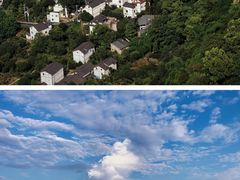 -南山植物园
