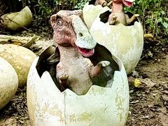 -呀路古热带植物园