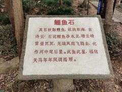 -上海佘山国家森林公园天马山园