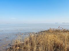 -上海吴淞炮台湾国家湿地公园