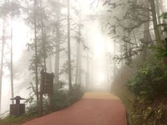 -綦江古剑山