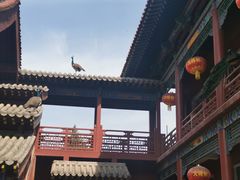 -大槐树寻根祭祖园