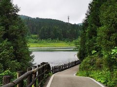 -武陵山森林公园