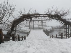 -汤泊温泉度假村