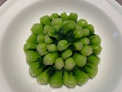 -菁禧荟(外滩店)