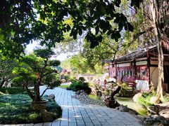 -西湖公园(鼓楼区)
