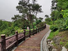 -四望岗公园