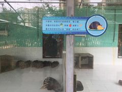 -六鳌翡翠湾滨海度假景区