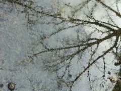 -四川大学(华西校区)