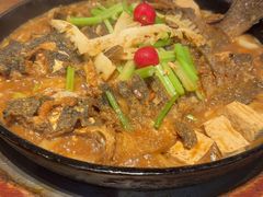 -老板恋上鱼(恒隆广场店)