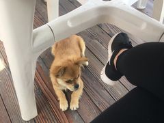 -乡乐园蟹庄·阳澄湖农家乐
