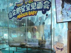 -帝企鹅自助餐厅•儿童岛•真企鹅(长隆企鹅酒店)