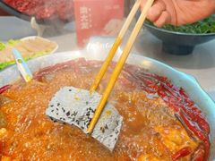 -渝大龙重庆火锅(温泉月亮湾店)
