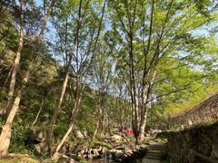 -木兰云雾山