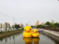 -菊园百果园