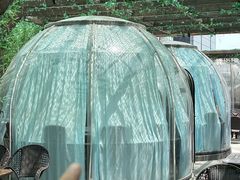 -遇见阿家村云南菜(魏公村店)