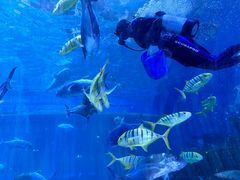 -华夏文旅海洋公园