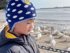-烟墩角天鹅湖