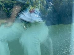 -福州西湖大酒店·怡湖咖啡厅