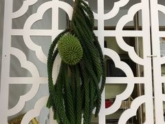 -弘法寺斋菜馆素食