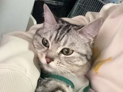 -佳雯宠物医院·皮肤科·内外科(春晓路分院)