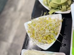 -一代菌王·竹荪鹅(江苏旗舰店)