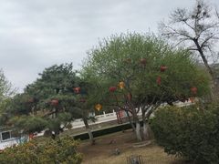 -承德避暑山庄景区