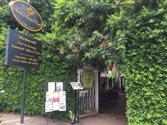 -Fern Forest Cafe