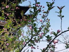 -杭州半山国家森林公园