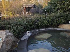 -溧阳天目湖天沐温泉