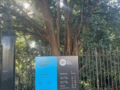 -墨尔本皇家植物园