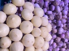 -五里多农博广场