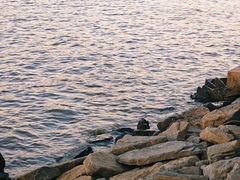 -仙岛湖旅游风景区