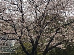 -阳澄湖费尔蒙酒店颐丰阁中餐厅(马鞍山西路店)